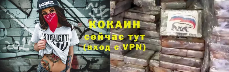 Cocaine FishScale  где можно купить   Кирс 